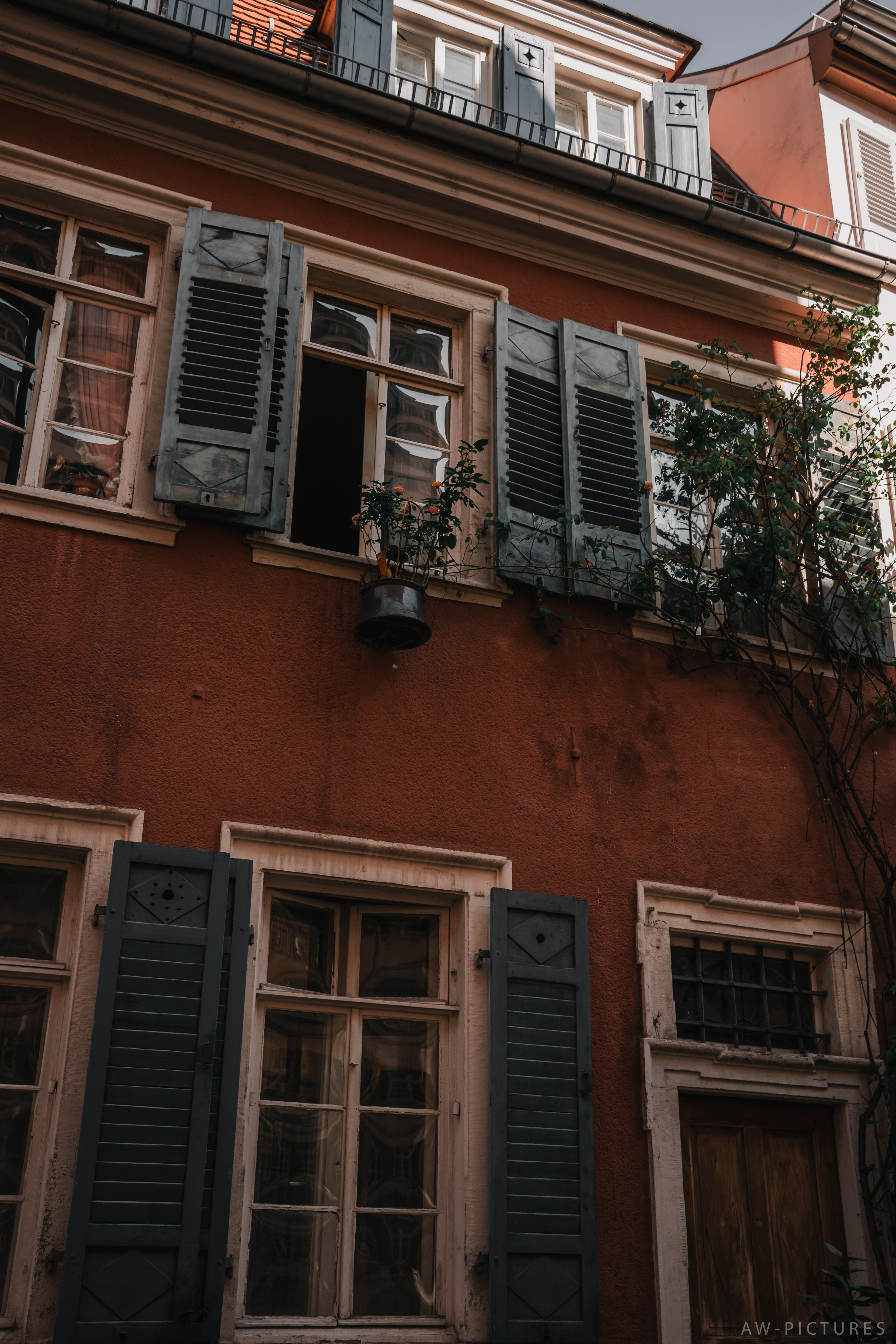 Immobilien & Architektur